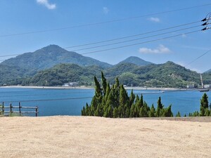 コンセプト